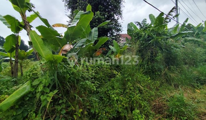 Dijual Tanah Strategis - BSD Lingkar Selatan (Dekat Qbig Bsd)