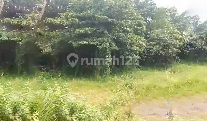 Commercial Land for Rent - Strategic Business Location Commercial Land for Rent - Strategic Business Location