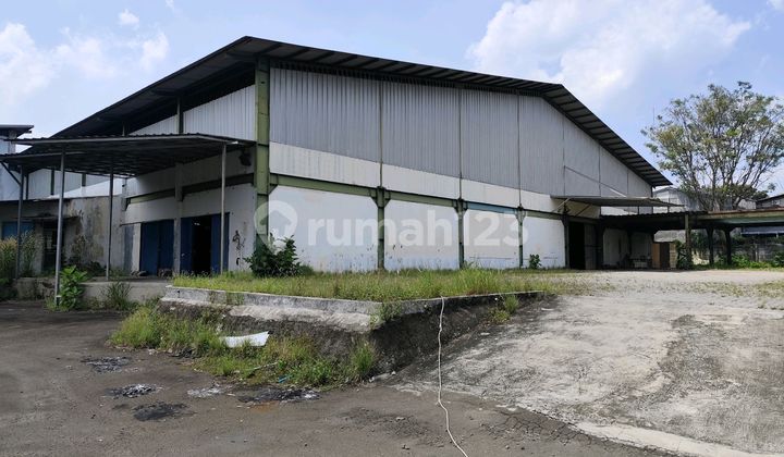 Large Neat Renovated Warehouse in Taman Tekno BSD