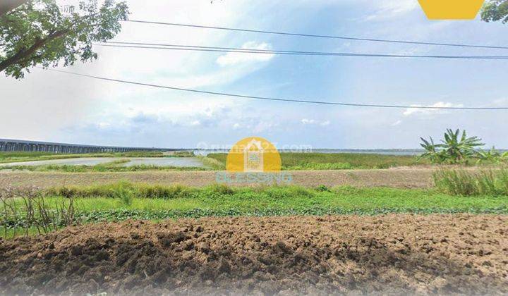 Dijual tanah industri di jalan onggorawe sayung demak  1