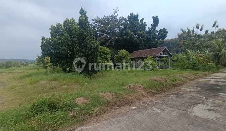 Dijual Gudang Dekat Akses Tol di Jalan Mangkang Kaliwungu 2