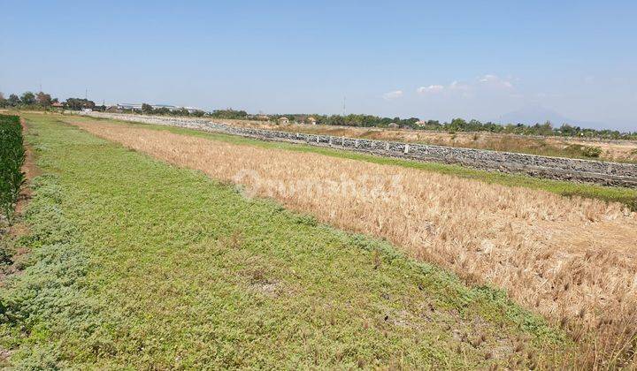 Dijual Cepat Tanah Strategis Wringin Anom Gresik  2