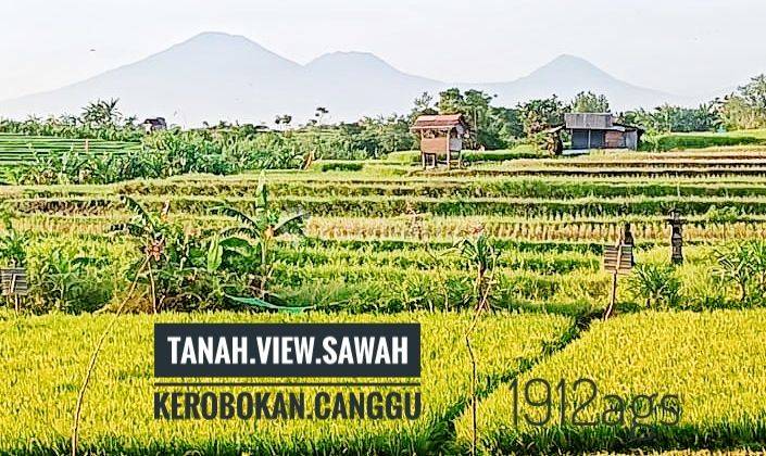 Jual Tanah View Sawah Bumbak Kerobokan Canggu Badung Bali 1