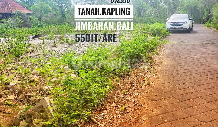 Jual Tanah Kapling Murah Dekat Toll Dan Bandara Jimbaran Bali 550 Juta Per Are