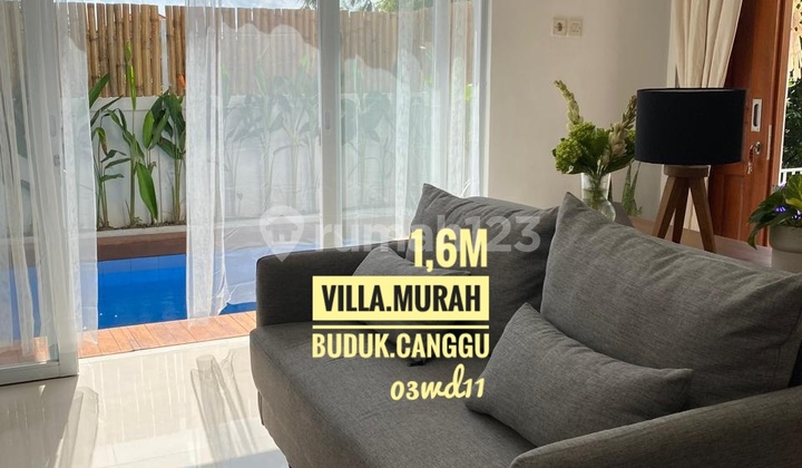 Jual Villa Baru Murah Buduk Canggu Bali