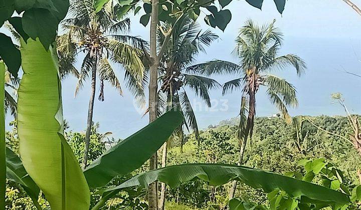 Jual Tanah Kebun View Laut Lovina Buleleng Bali 9