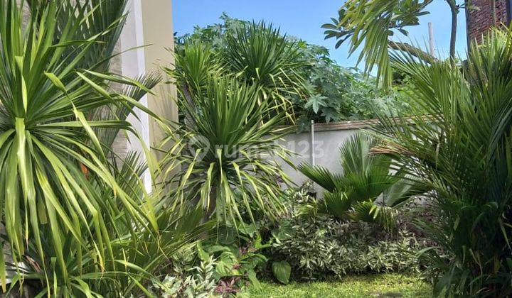 Jual Rumah 4 kamar area Seminyak kuta Bali 8