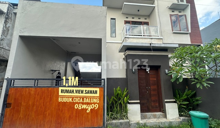 Jual Rumah 3 Kamar View Sawah Cica Buduk Dalung Kuta Utara Badung Bali