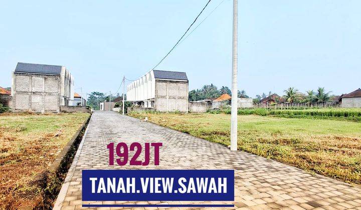 Jual Tanah Shm Murah View Sawah Rasa Ubud Di Tabanan Bali 1