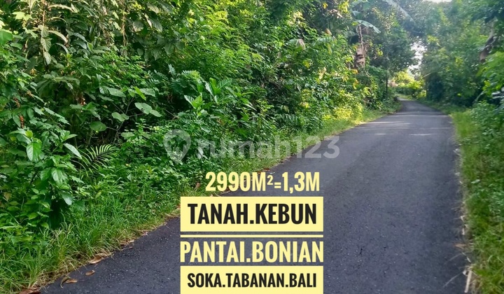 For Sale: Garden Land Suitable for Villa, Cafe, Factory, Livestock with River View in Bonian Beach Area, Antap Soka, Tabanan, Bali For Sale: Garden Land Suitable for Villa, Cafe, Factory, Livestock with River View in Bonian Beach Area, Antap Soka, Tabanan, Bali