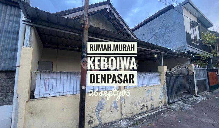 Jual Rumah Siap Huni 4 Kamar Keboiwa Utara Dekat Puspem Badung Denpasar Bali 1