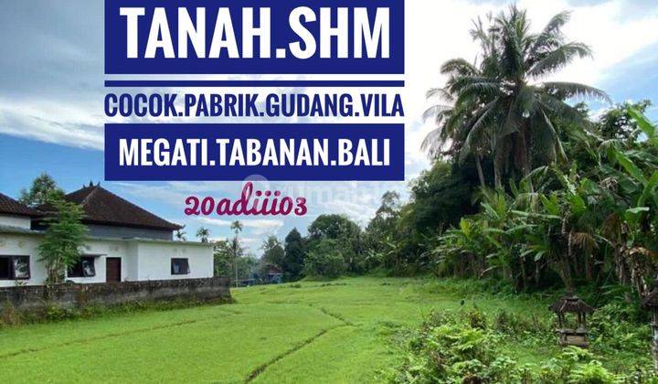 Jual Tanah Cocok Buat Pabrik Gudang Peternakan Villa Rumah Tabanan Bali