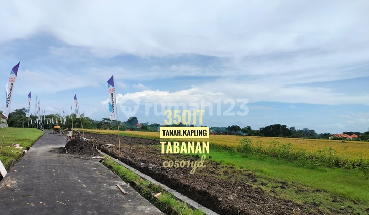 For Sale Plot of Land Near Yeh Gangga Beach Canggu Bali
