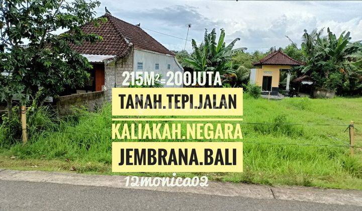 Jual Tanah Pinggir Jalan Bs Usaha Rumah Toko Kaliakah Negara Jembrana Bali 1