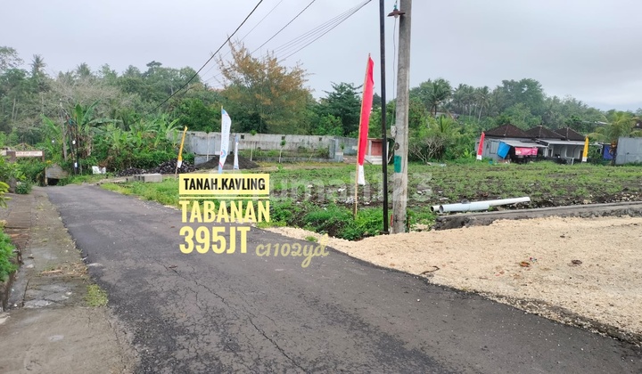 Sale of Plot Land in Tabanan, Bali