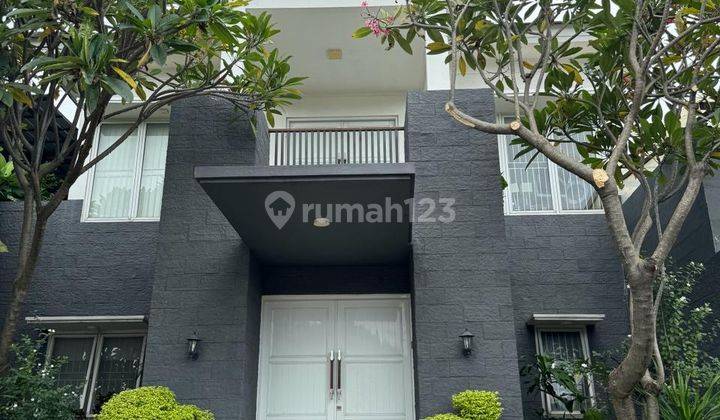 Rumah Modern Minimalis Area Bintaro Dekat Sektor 7 Punya Artis Keren Bgt Ada Pool 2