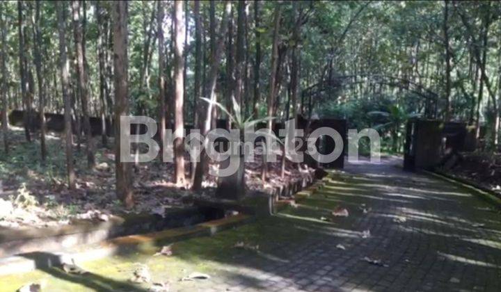 Hutan Jati Ber-Villa Di Kediri, Cocok Untuk Agro Wisata, Villa Dan Investasi Lainnya 1