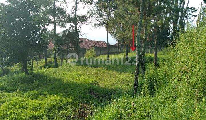 Selling Below Market Price!! Cool View Land in Pagerwangi Punclut Bandung