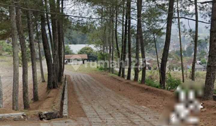 Tanah 14.2 Ha & 6 Villa Di Lembang Cocok Utk Tempat Wisata 1