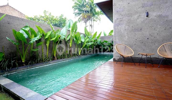 Luxury New Villa With Pool Fully Furnished At Munggu Area, Bali