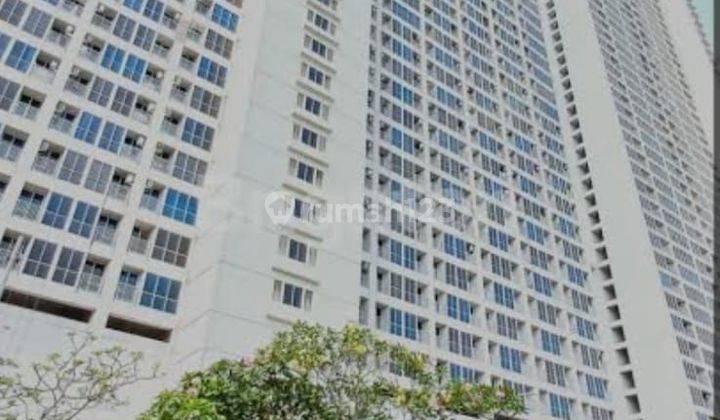 Apartemen Tifolia Pulomas Type 2 BR Furnished Bagus 1