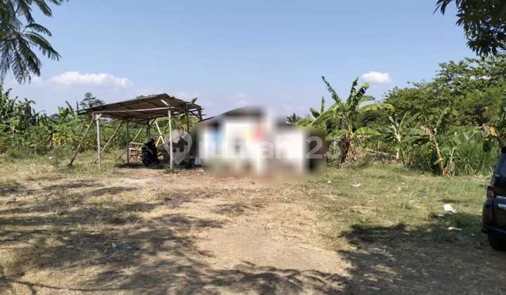 Rare Find!! Below Market Price!! 2 Hectares of Ready-to-Build Land Near Soroja Toll Road Rare Find!! Below Market Price!! 2 Hectares of Ready-to-Build Land Near Soroja Toll Road