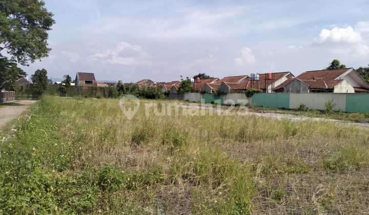 Strategic Mature Land Ready to Build