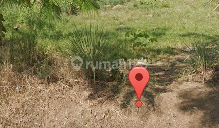 Rare Find!! Below Market Price!! 2 Hectares of Ready-to-Build Land Near Soroja Toll Road Rare Find!! Below Market Price!! 2 Hectares of Ready-to-Build Land Near Soroja Toll Road
