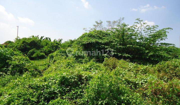 Tanah Raya serang Dkt GTO Serang Timur  Harga Investor 8