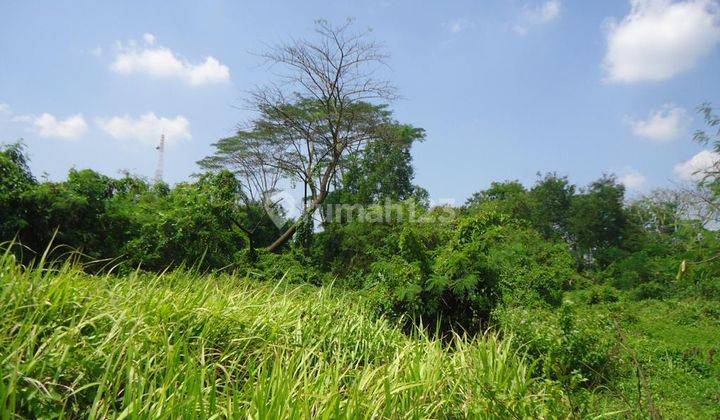 Tanah Raya serang Dkt GTO Serang Timur  Harga Investor 9