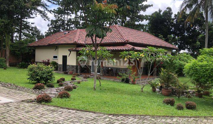 Tanah Bonus Vila Mevah Dan Kebo buah2 An 1