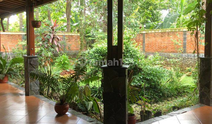 Tanah Bonus Vila Mevah Dan Kebo buah2 An 3