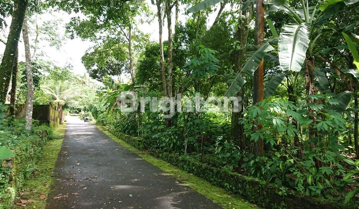 Tanah Pekarangan di Kawasan Wisata Kaliurang