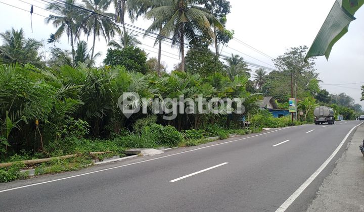 MOUNTAIN VIEW LAND BY THE ROAD, PERFECT FOR BUILDING A VILLA MOUNTAIN VIEW LAND BY THE ROAD, PERFECT FOR BUILDING A VILLA