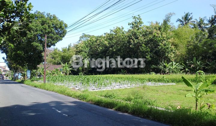 Tanah Lebar Mangku Jalan Raya
