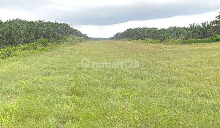 Jual Cepat Tanah Di Leuwiliang Bogor 24,3 Hectare 1