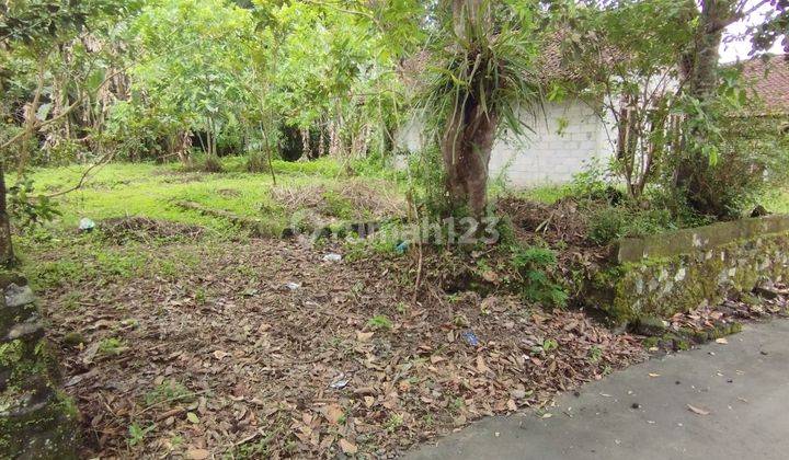 Tanah Pekarangan di Jalan Turi Tempel 217m² 3