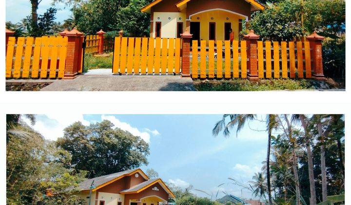 Rumah Cantik di Lokasi Asri di Jalan Raya Cangkringan Pinggir Pedesaan 1