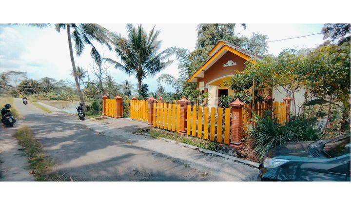 Rumah Cantik di Lokasi Asri di Jalan Raya Cangkringan Pinggir Pedesaan 3