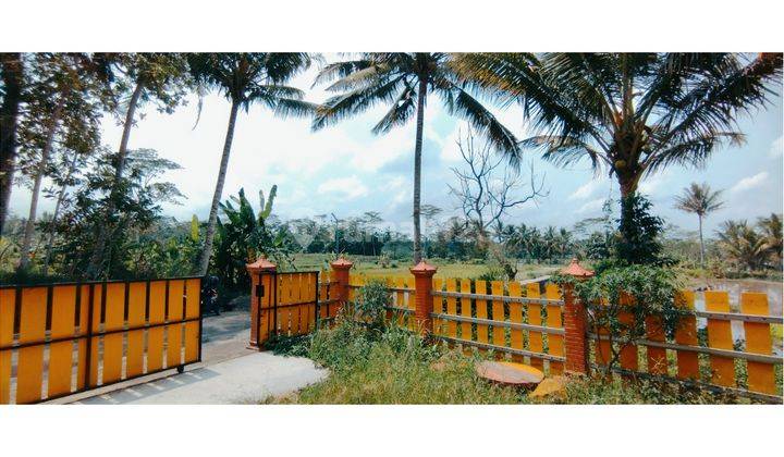 Rumah Cantik di Lokasi Asri di Jalan Raya Cangkringan Pinggir Pedesaan 5
