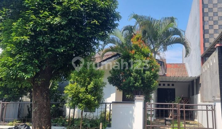 Rumah SHM Bagus 1 Lantai di Bsd Tangerang Selatan