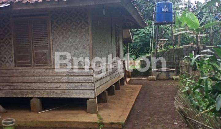 TEMPAT NGADEM DI TENGAH KEBUN TEH, DESA CILINGGA PURWAKARTA 2