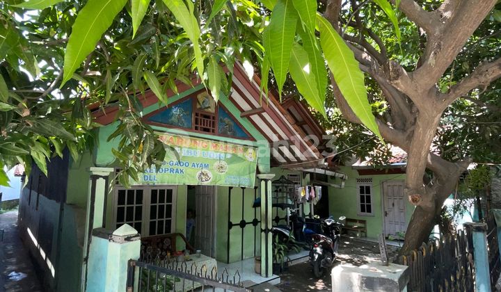 Rumah Pinggir Jalan Utama Di Pronggol Rumah Pinggir Jalan Utama Di Pronggol