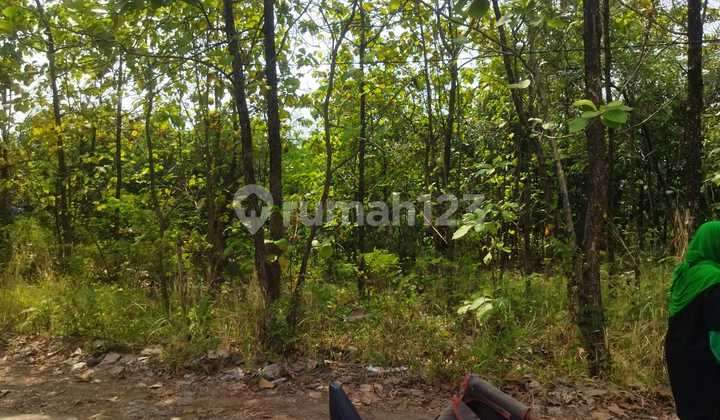 Tanah Murah Padat Kota Cirebon