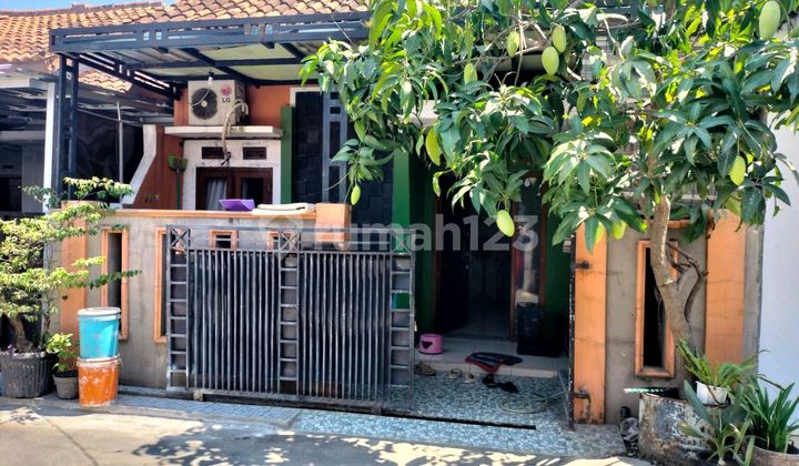 Rumah 2 Lantai Murah Strategis Kabupaten Sumber Rumah 2 Lantai Murah Strategis Kabupaten Sumber