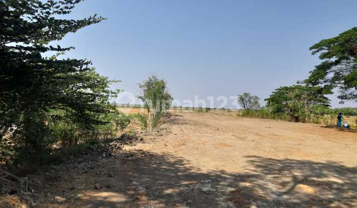 Tanah Pantura Losarang Indramayu