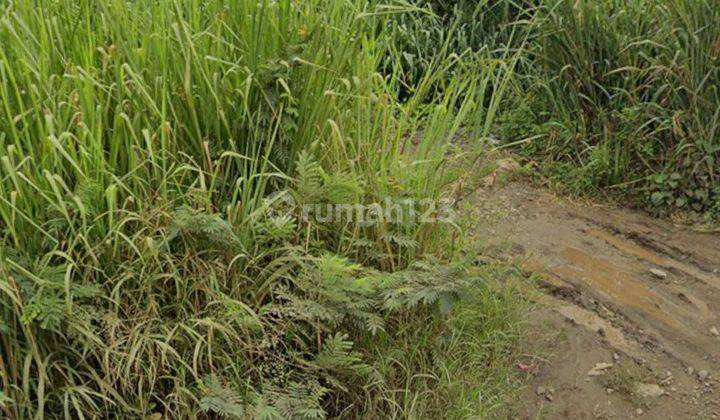 Di  Tanah Lokasi Industri, Bisa Untuk Gudang Dan Peternakan 1