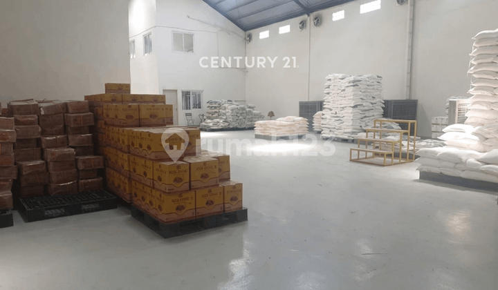 Warehouse and Office in the Adiwerna Tegal Area Warehouse and Office in the Adiwerna Tegal Area