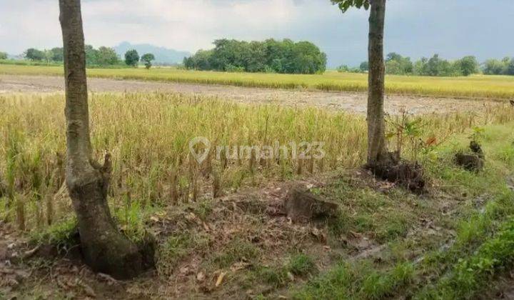 Dijual Tanah Produktif, Sawah, Majalengka, Jawa Barat 2