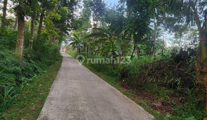 Dijual cepat : Tanah utk perkebunan atau peternakan di dekat jalan Salatiga-Kopeng  2